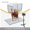 cow weight scale , cow weight machine , animal weight scale , weighing scale, cow live weight price in bangladesh, digital weight machine price in bangladesh, digital scale, cow weight scale price, cow weight scale for sale, animal weight scale price in bangladesh, cow weight scale price in bangladesh, cow weight machine, weight scale for cattle, animal weight scale price, best animal weight scale, animal weight scale for sale, animal weight scale price in bangladesh, cow weight scale price in bangladesh, cow weight machine, used cow weight scale price in bangladesh, small cow weight scale price in bangladesh, animal weight scale, animal weight scale, cow weight machine, cow weight scale, weight scale for cattle, cattle weighing scales for sale, pet weighing scales, livestock weight scale, portable livestock scales for sale, cattle weigh platform, portable cattle scale, cattle weighing systems, small pet scale, veterinary weighing scales, large animal weighing scales, animal weighing scales for sale, best cattle weighing scales, digital sheep weighing scales, small animal weight scale, cattle weigh platform for sale, weigh platform for cattle, cow weighing scales, cattle weight scales for sale, animal weight machine price, animal weight machine, cattle weighing machine, cattle weight machine, cattle weighing scales price, cow weighing machine, pet weight machine, pet weighing machine, animal weight scale weight animal, animal body weight formula, scales on animal body, scale for animals, how do digital scales measure weight, how to measure animal weight, scale animal name, small animal weight scale, animals weight, animal weight scale, pet weight scale, animal weight machine, animal weight machine price,